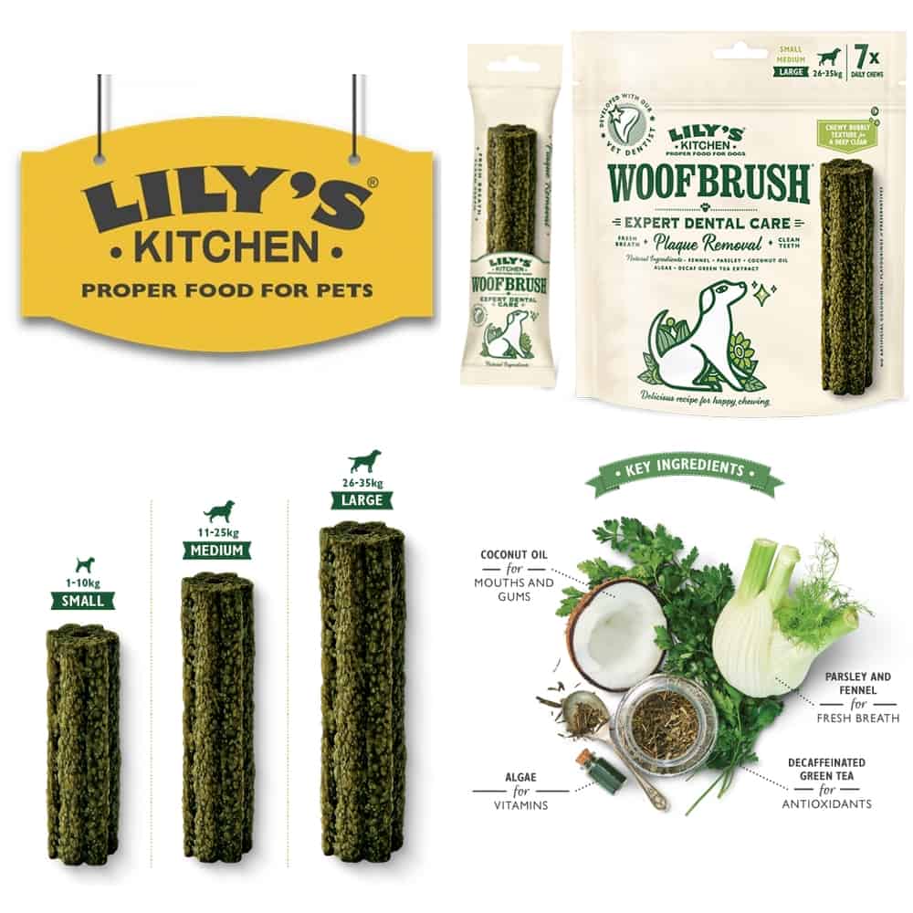 LILY’S KITCHEN Woofbrush Dental - 3 tailles