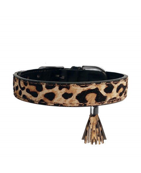MILK & PEPPER Ocelot Classic Collar - détail