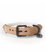 MILK & PEPPER Nemo Classic Collar - Ecru