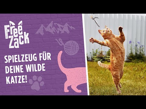 FREEZACK Cork Cat Toy Mouse, jouet souris en liège pour chat