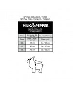 MILK & PEPPER Carlotta Sweater - guide des tailles