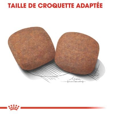 ROYAL CANIN Giant Adult 15kg