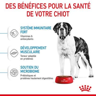 ROYAL CANIN Giant Junior 15kg