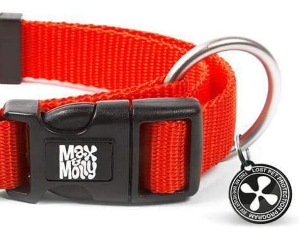 MAX & MOLLY Collier Smart ID Chien Rouge