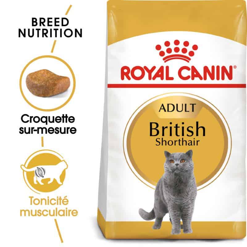 ROYAL CANIN British Short Hair