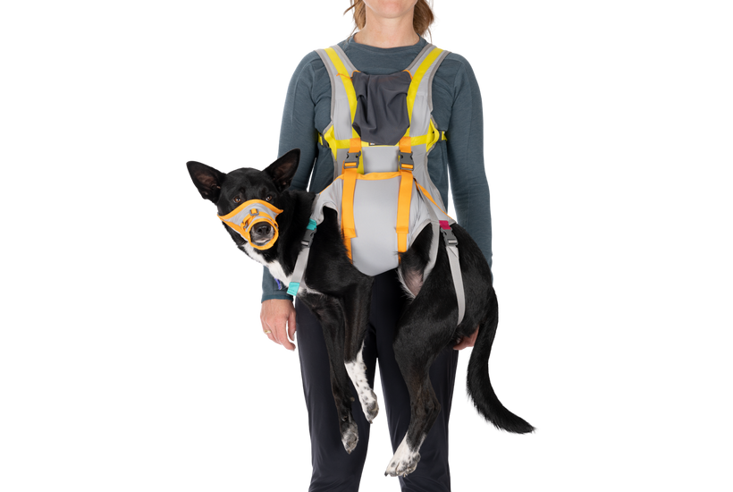 RUFFWEAR BackTrak Dog Evacuation Kit Cloudburst Gray