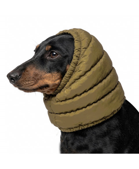 MILK & PEPPER Timeo Snood - porté par un chien