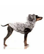 MILK & PEPPER Yana Sweat - porté par un chien