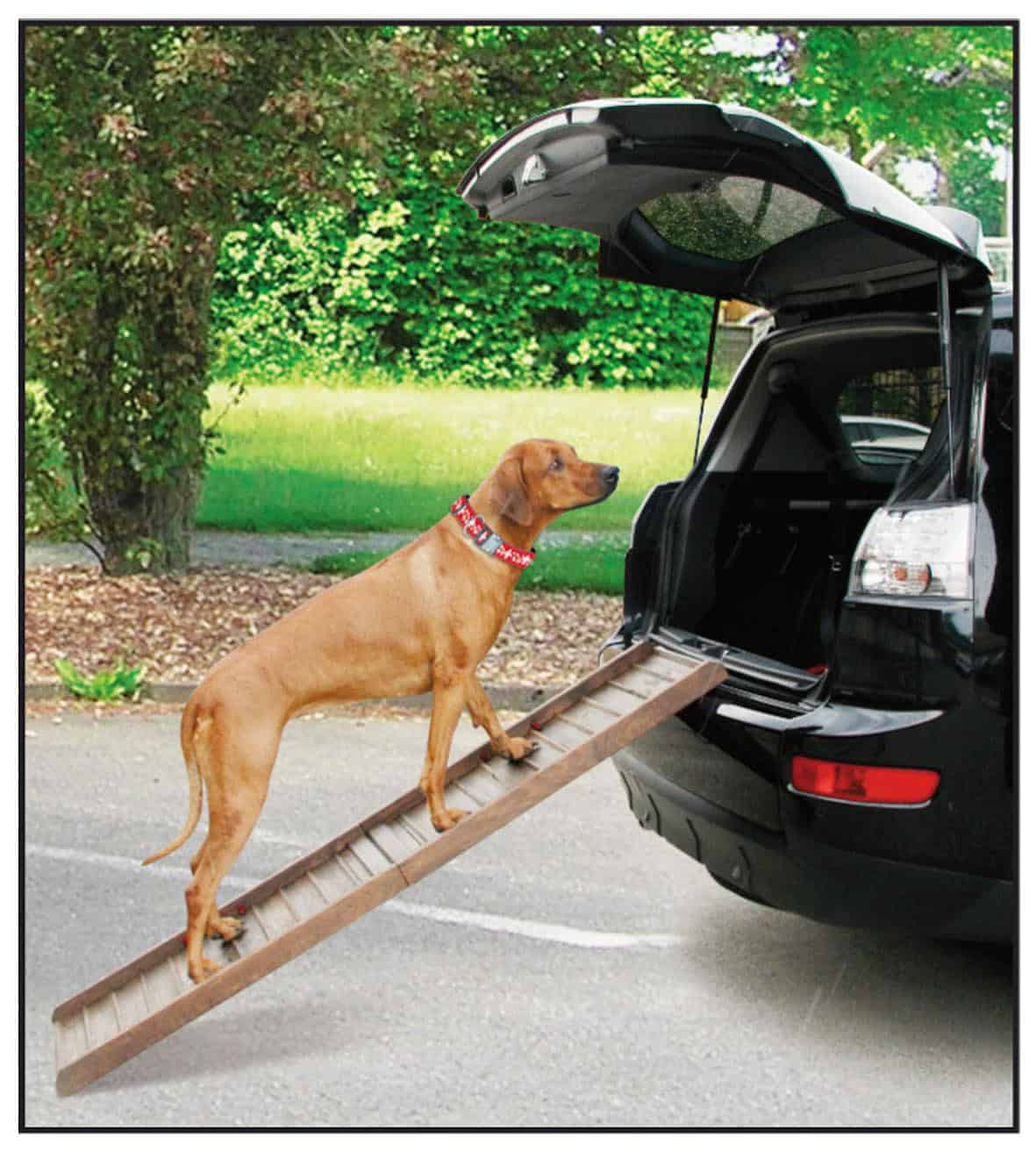 Boarding Rampe d'Auto pour Chien