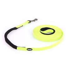 SWISSPET Laisse Neon Stretch avec Frein