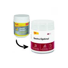 KYLI Gastro Optimal