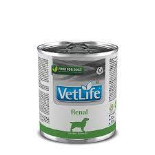 FARMINA Vet Life Chien Renal 300g