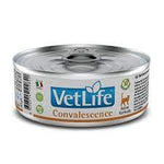 FARMINA Vet Life Chat Convelescence 85g