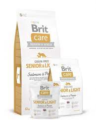BRIT Care Dog Grain Free Senior Light Salmon & Potato