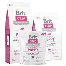 BRIT CARE Canine Puppy Grain Free Saumon & Pomme de terre